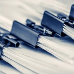 WhatsApp Image 2022-10-18 at 11.09.03